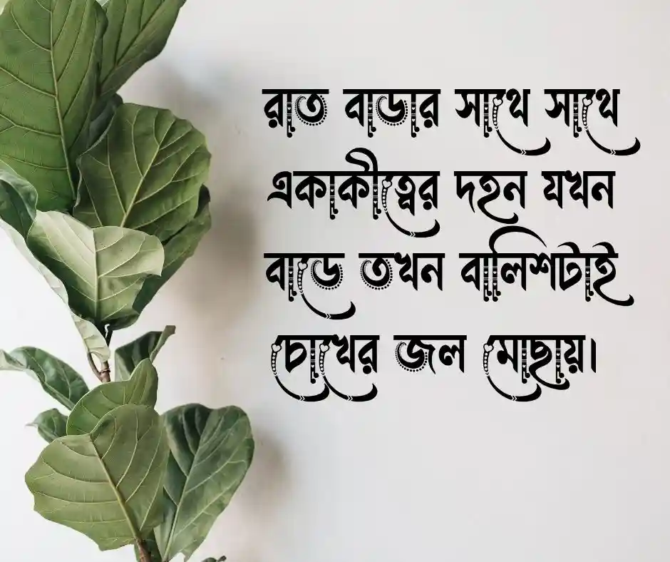 সিঙ্গেল ছেলেদের কষ্টের ক্যাপশন