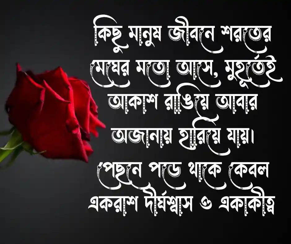 দুই লাইনের কষ্টের স্ট্যাটাস দুই লাইনের স্ট্যাটাস কষ্টের