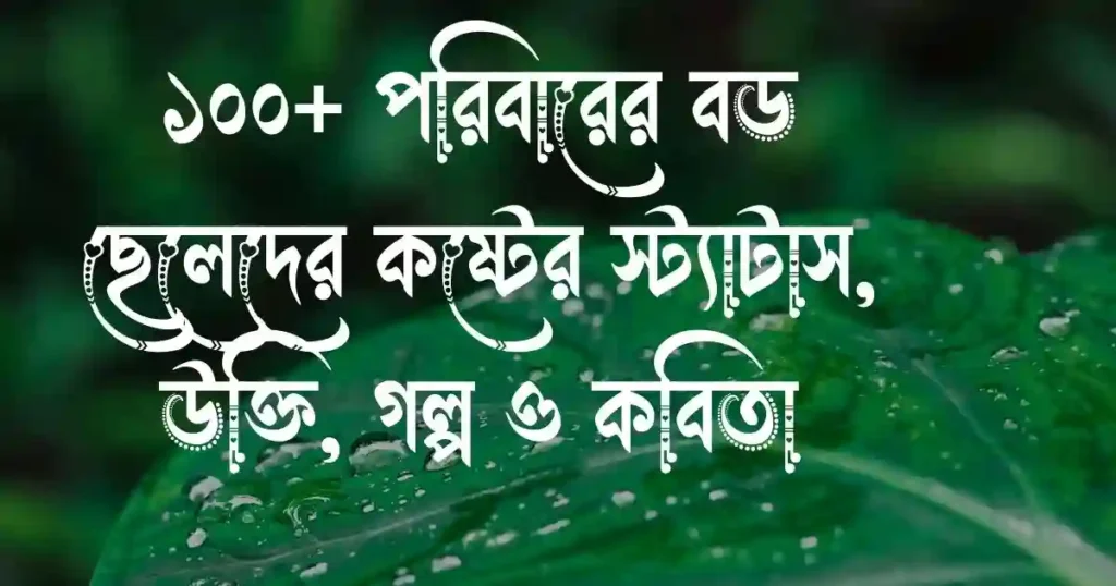 ১০০+ পরিবারের বড় ছেলেদের কষ্টের স্ট্যাটাস, উক্তি, গল্প ও কবিতা
