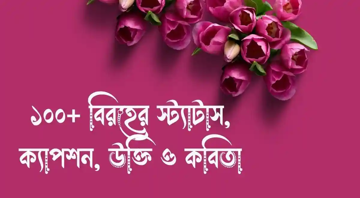 ১০০+ বিরহের স্ট্যাটাস, ক্যাপশন, উক্তি ও কবিতা