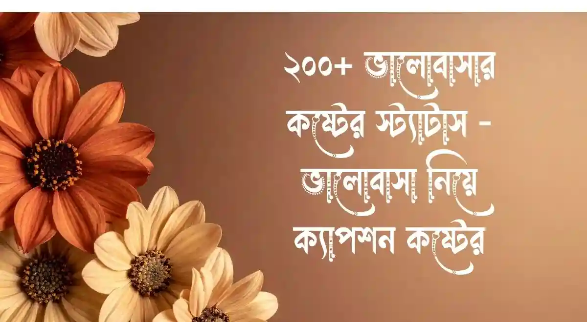 ২০০+ ভালোবাসার কষ্টের স্ট্যাটাস - ভালোবাসা নিয়ে ক্যাপশন কষ্টের