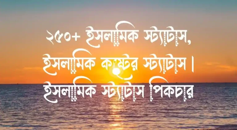 ২৫০+ ইসলামিক স্ট্যাটাস, ইসলামিক কষ্টের স্ট্যাটাস ইসলামিক স্ট্যাটাস পিকচার