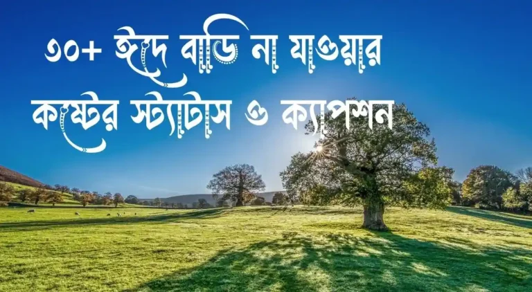 ৩০+ ঈদে বাড়ি না যাওয়ার কষ্টের স্ট্যাটাস ও ক্যাপশন