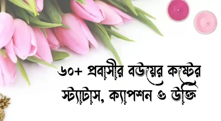 ৬০+ প্রবাসীর বউয়ের কষ্টের স্ট্যাটাস, ক্যাপশন ও উক্তি