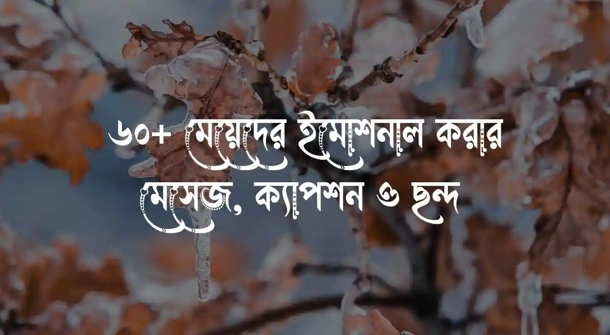 ৬০+ মেয়েদের ইমোশনাল করার মেসেজ, ক্যাপশন ও ছন্দ