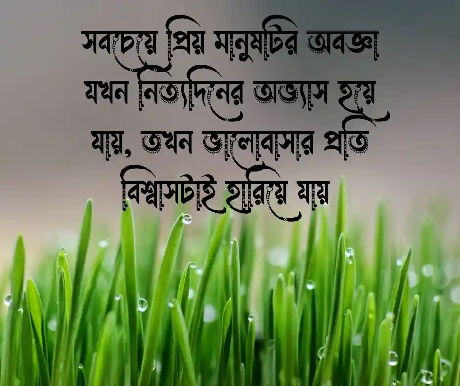 অবহেলা শখের নারীকে নিয়ে ক্যাপশন