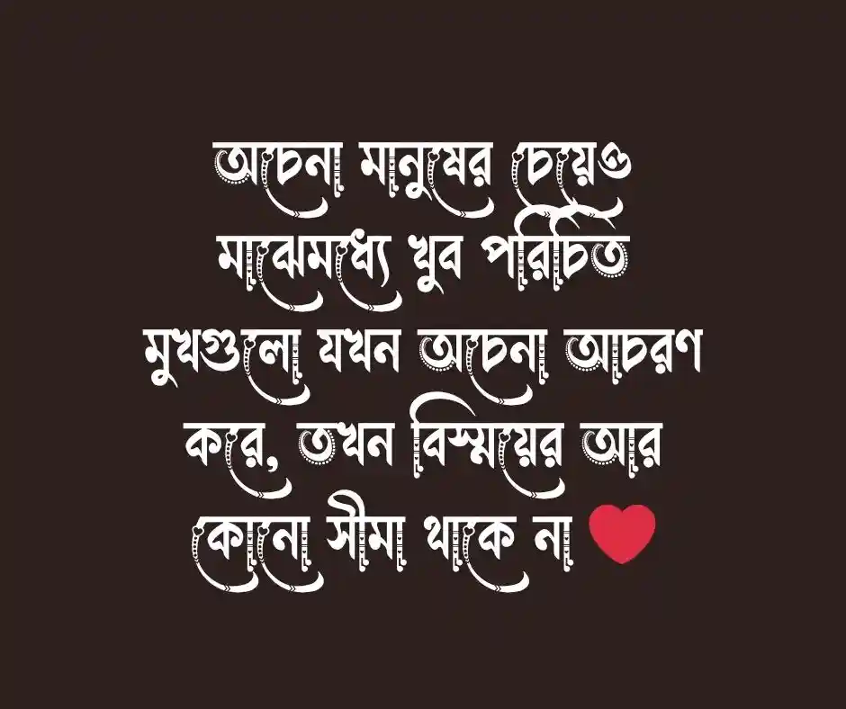 অবাক করা ফেসবুক স্ট্যাটাস