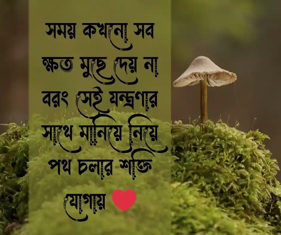 ইউনিক বাংলা ক্যাপশন Unique Bangla Caption