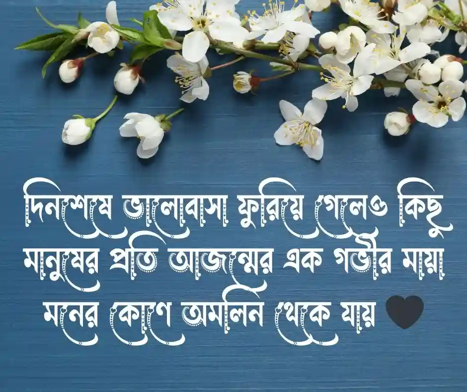 ইমোশনাল কষ্টের স্ট্যাটাস ছবি