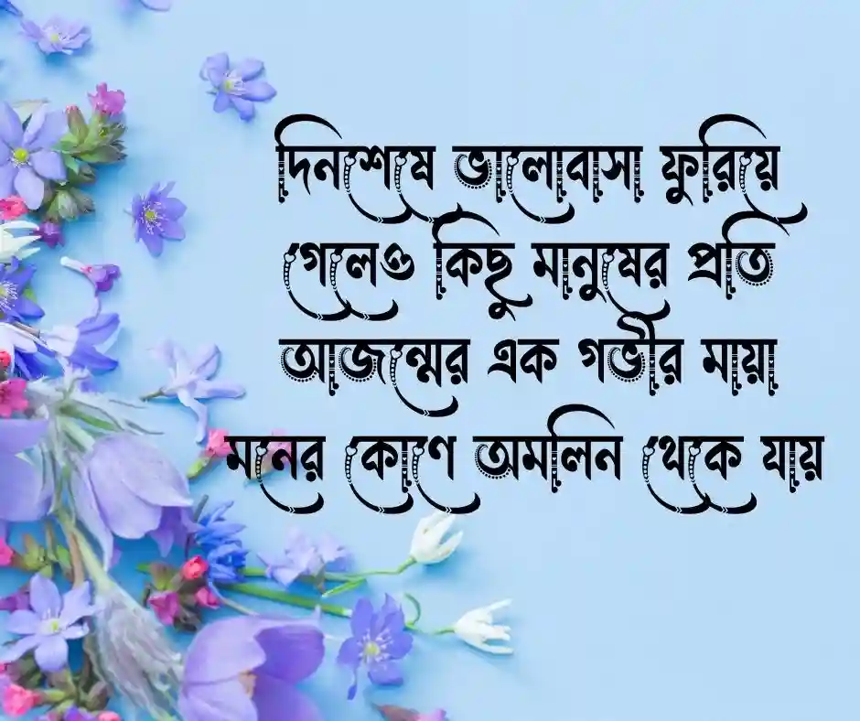 ইমোশনাল স্ট্যাটাস মায়া নিয়ে উক্তি