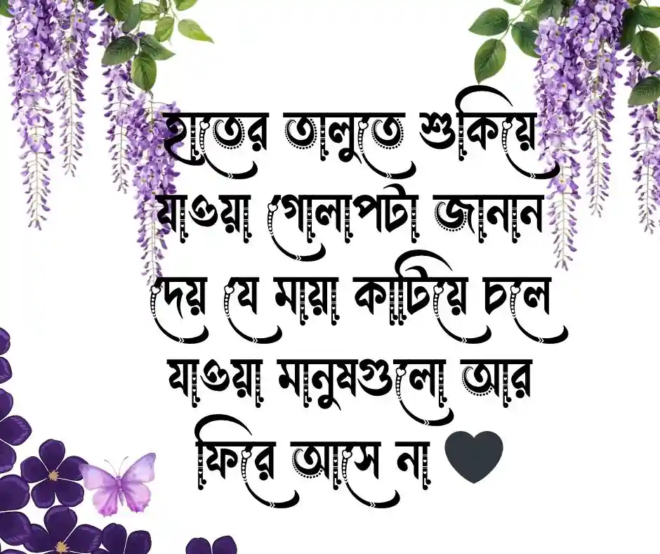 গোলাপ ফুল নিয়ে কষ্টের ক্যাপশন