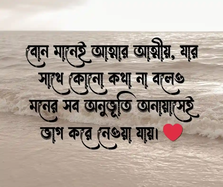ছোট বোনকে নিয়ে ক্যাপশন ছোট বোনকে নিয়ে স্ট্যাটাস