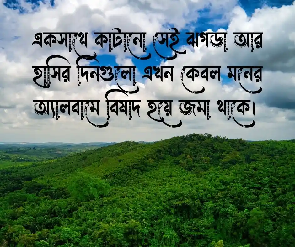 ছোট বোনকে নিয়ে স্ট্যাটাস বাংলা