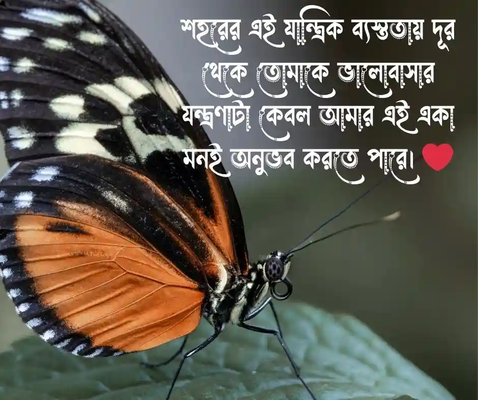 দূর থেকে ভালোবাসার কষ্টের স্ট্যাটাস