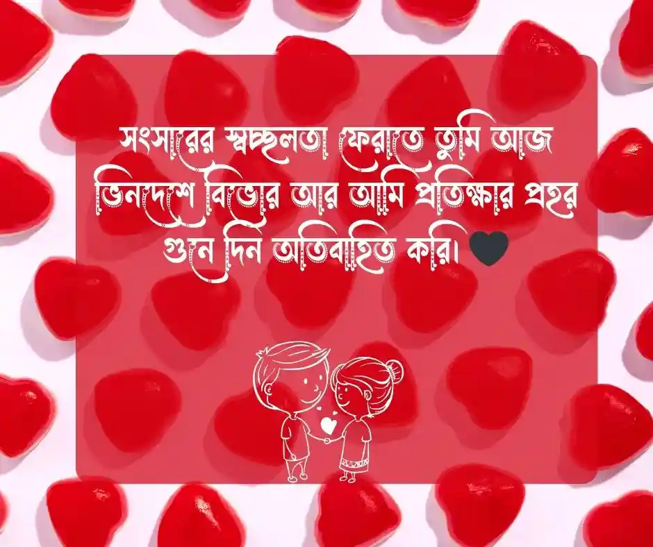 প্রবাসীর বউ নিয়ে উক্তি কষ্টের