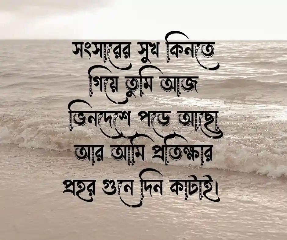 প্রবাসীর বউ নিয়ে ক্যাপশন কষ্টের