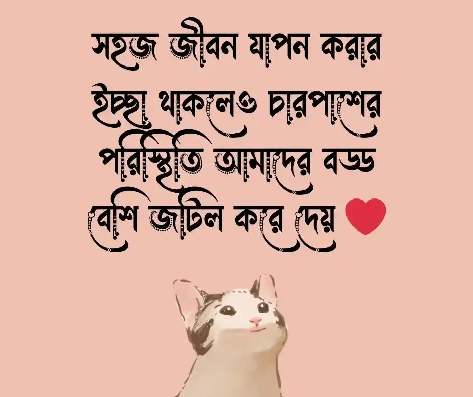 ফেসবুক ক্যাপশন বাংলা Facebook Caption Bangla