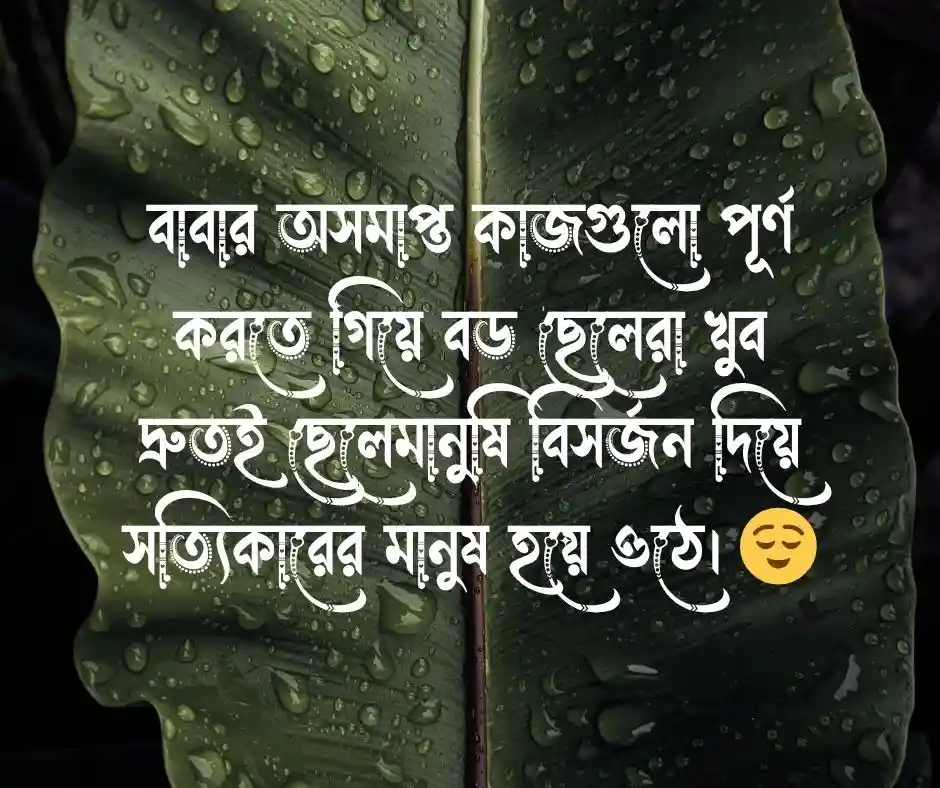 বড় ছেলে নিয়ে উক্তি