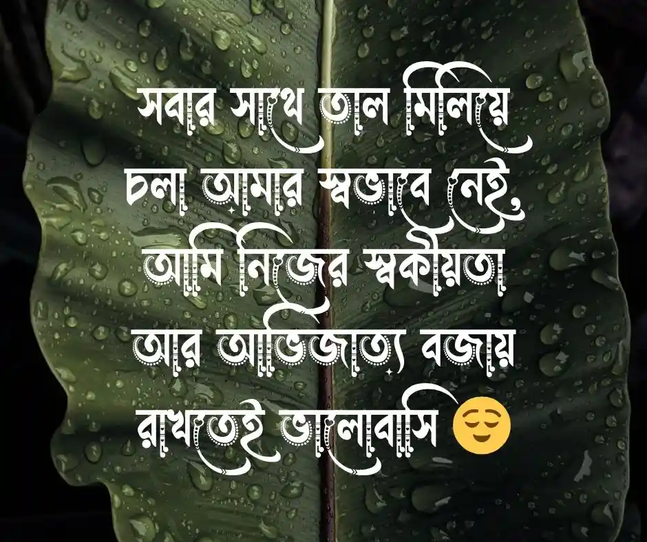 বাংলা এটিটিউড ক্যাপশন Attitude Caption Bangla