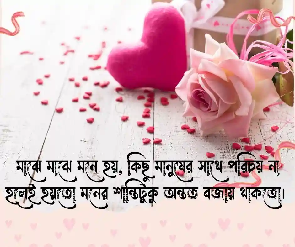 বিরহের স্ট্যাটাস - বিরহের ক্যাপশন (1)