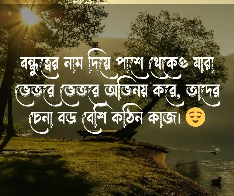 বেস্ট ফ্রেন্ড নিয়ে কিছু কষ্টের কথা