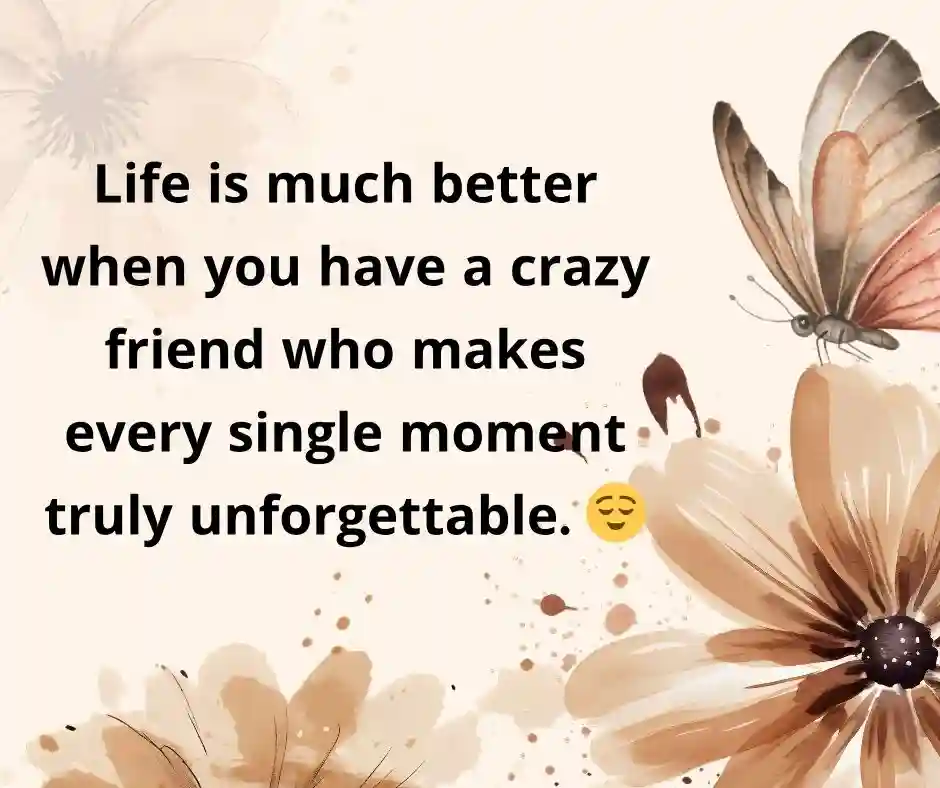 বেস্ট ফ্রেন্ড নিয়ে স্ট্যাটাস ইংরেজি