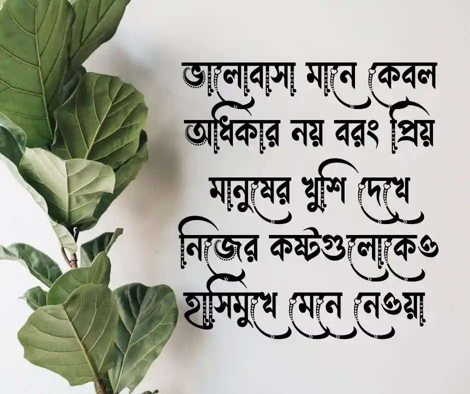 ভালোবাসার ইমোশনাল স্ট্যাটাস