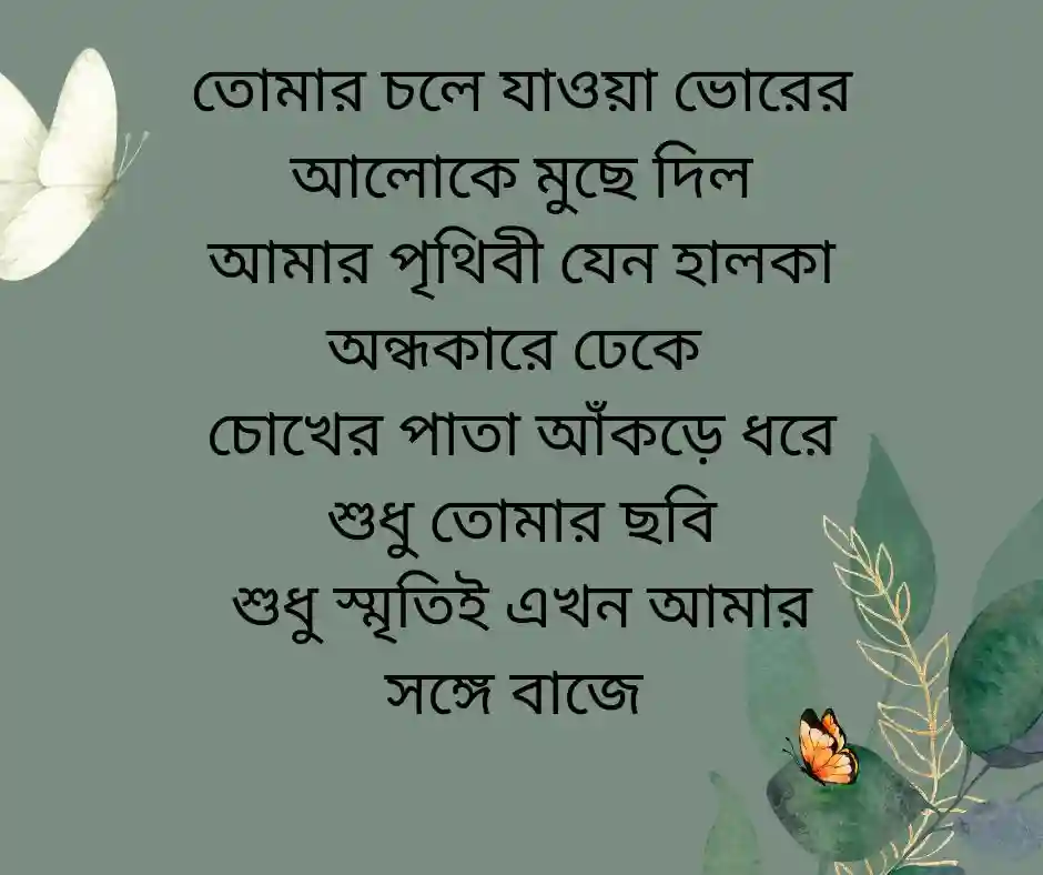 ভালোবাসার কষ্টের কবিতা