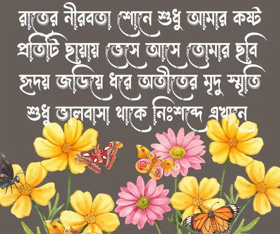 ভালোবাসার কষ্টের ছন্দ