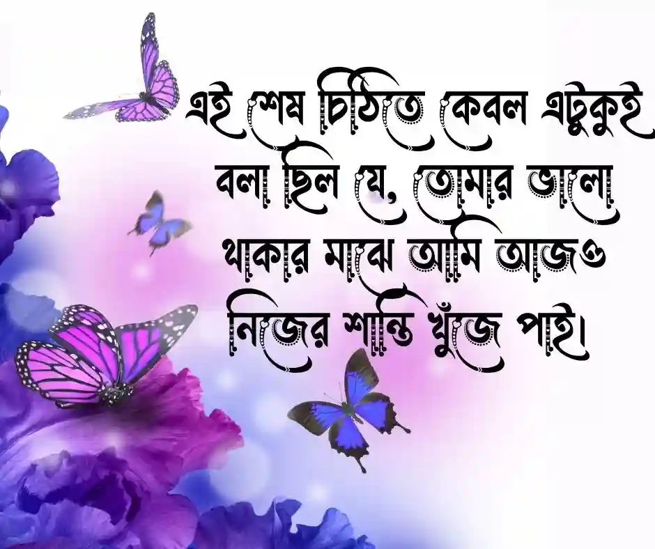 ভালোবাসার কষ্টের শেষ চিঠি