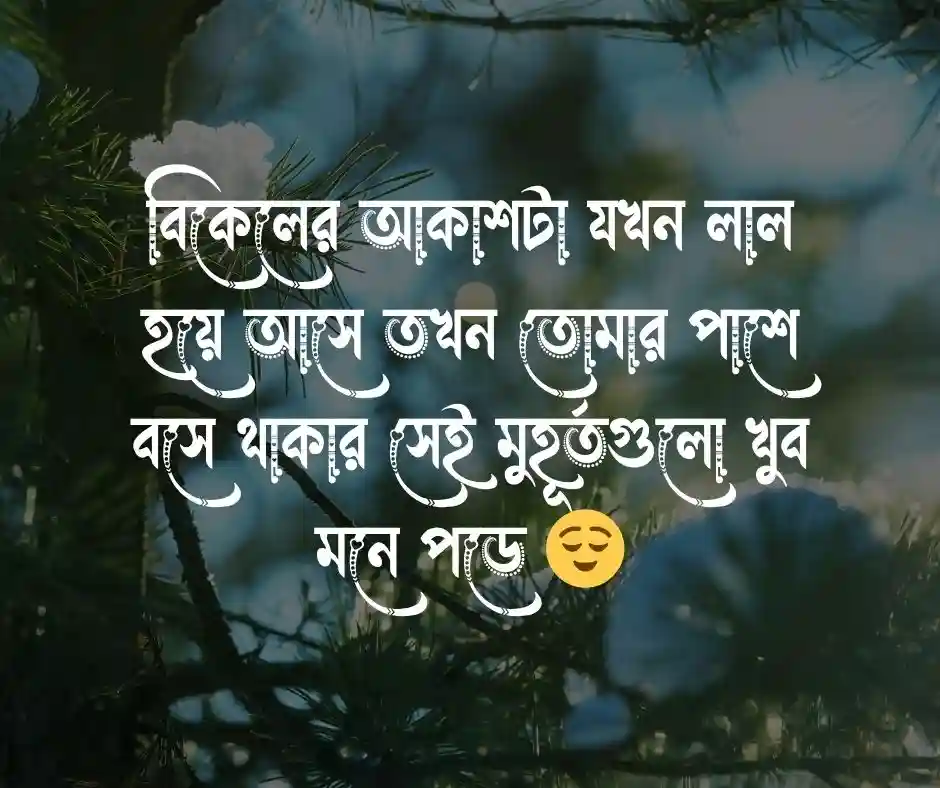 রোমান্টিক পিক Romantic Picture