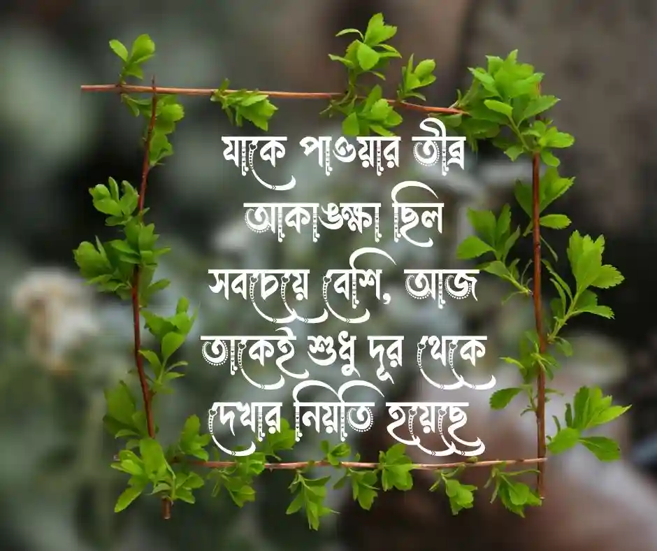 শখের নারী নিয়ে কষ্টের ক্যাপশন