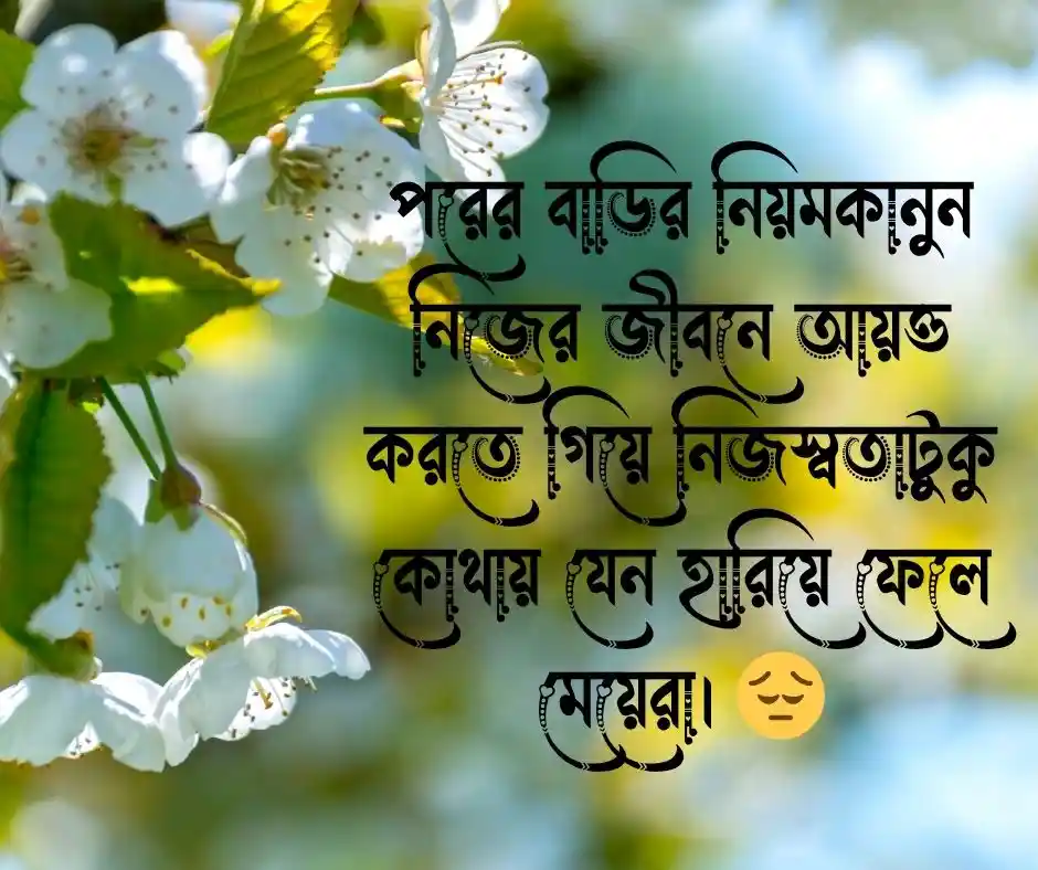 শ্বশুর বাড়ি নিয়ে উক্তি