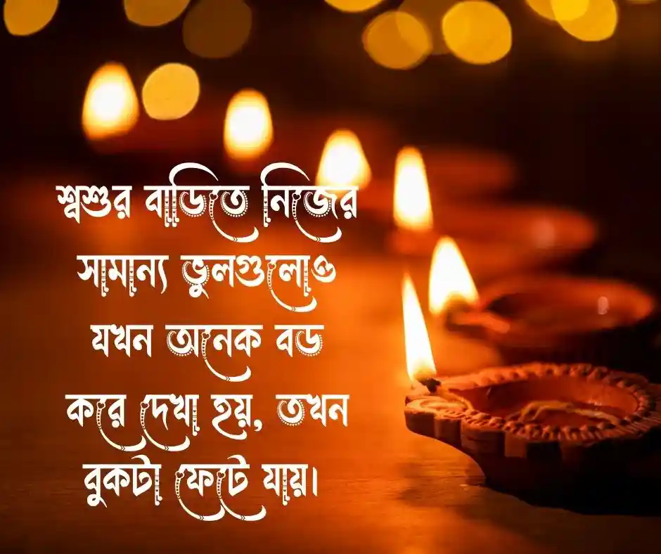 শ্বশুর বাড়ি নিয়ে কষ্টের স্ট্যাটাস (2)