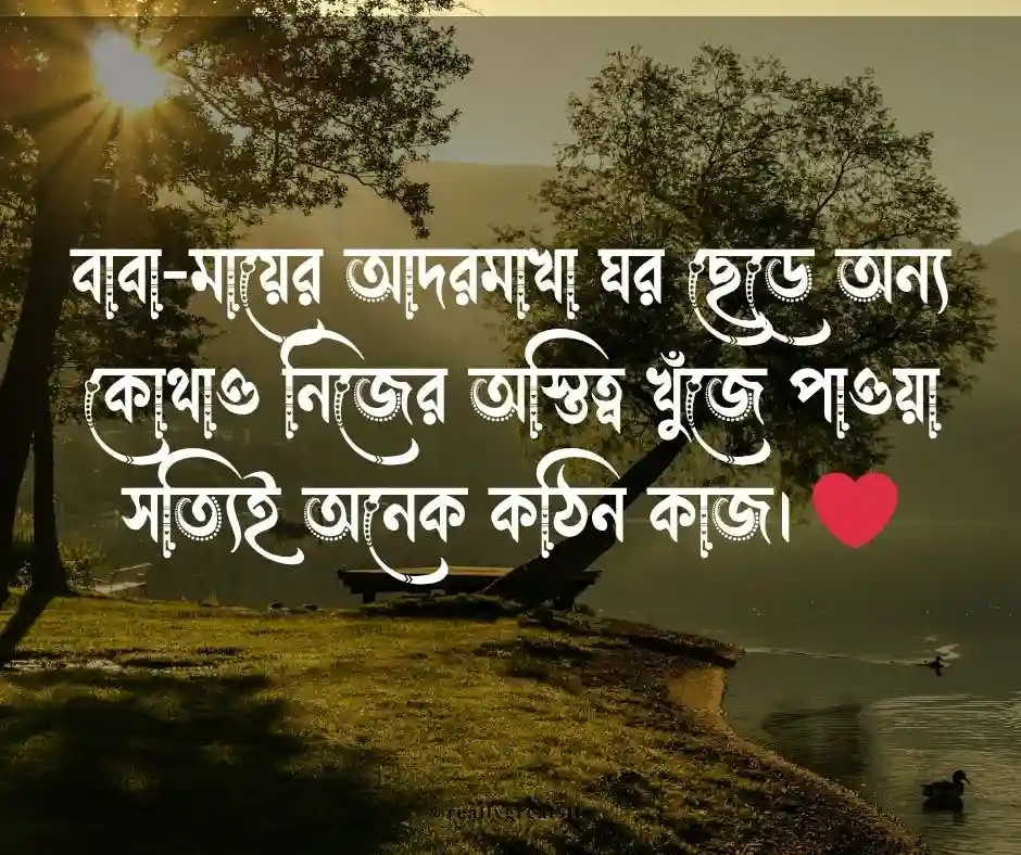 শ্বশুর বাড়ি নিয়ে কষ্টের স্ট্যাটাস