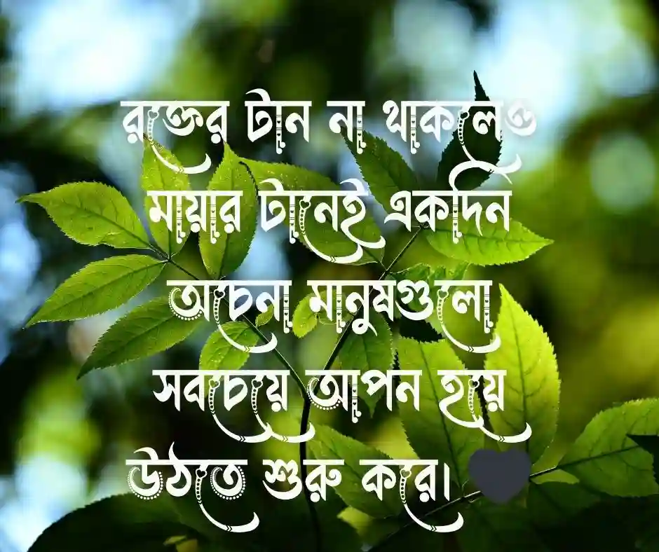 শ্বশুর বাড়ি নিয়ে কিছু কথা