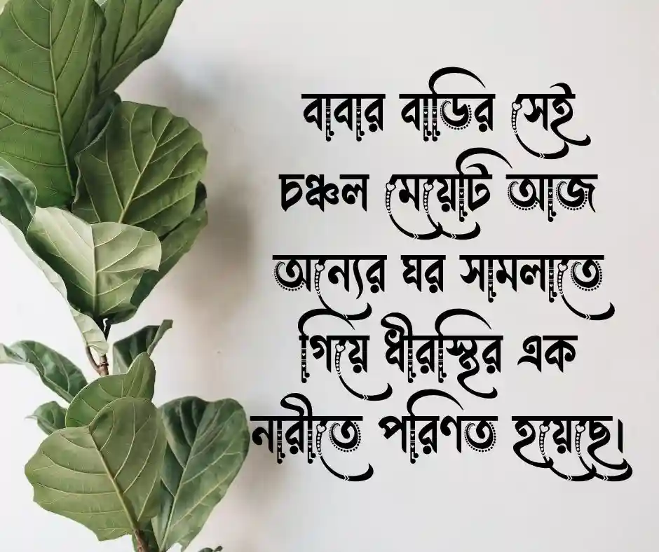 শ্বশুর বাড়ি নিয়ে ক্যাপশন