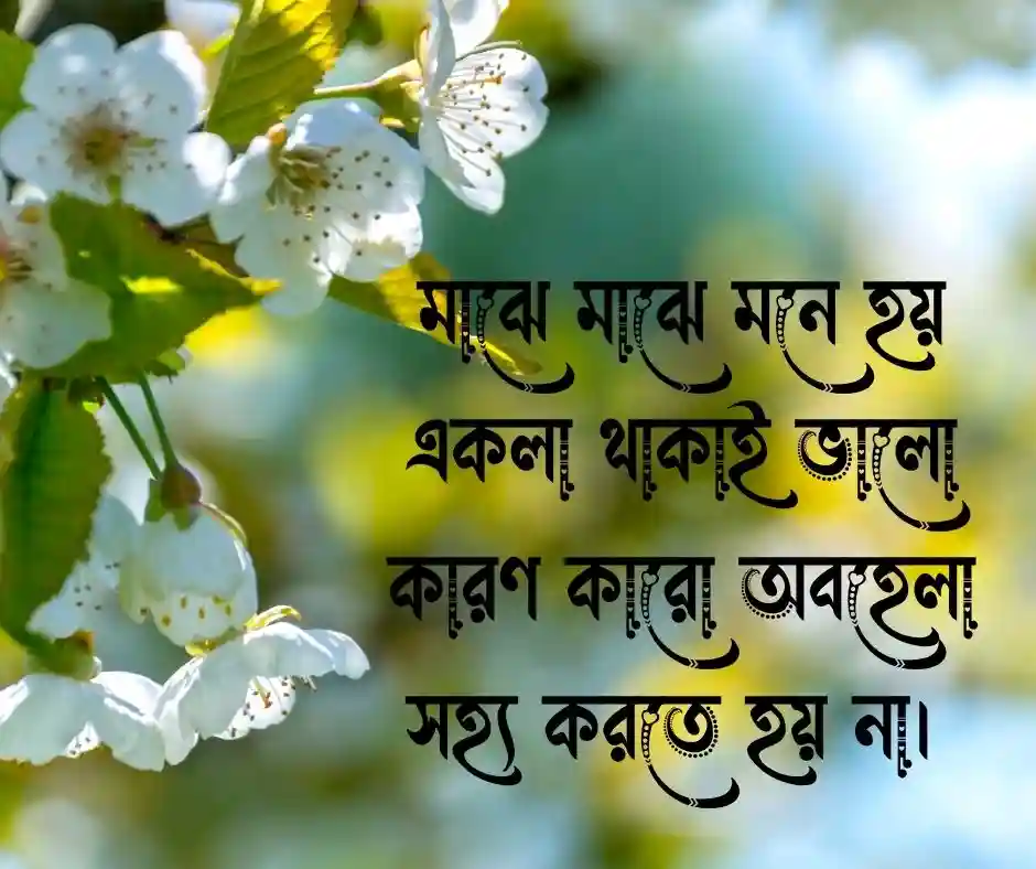 সিঙ্গেল ছেলেদের কষ্টের ক্যাপশন