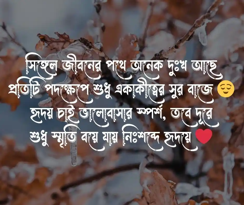 সিঙ্গেল ছেলেদের কষ্টের ছন্দ