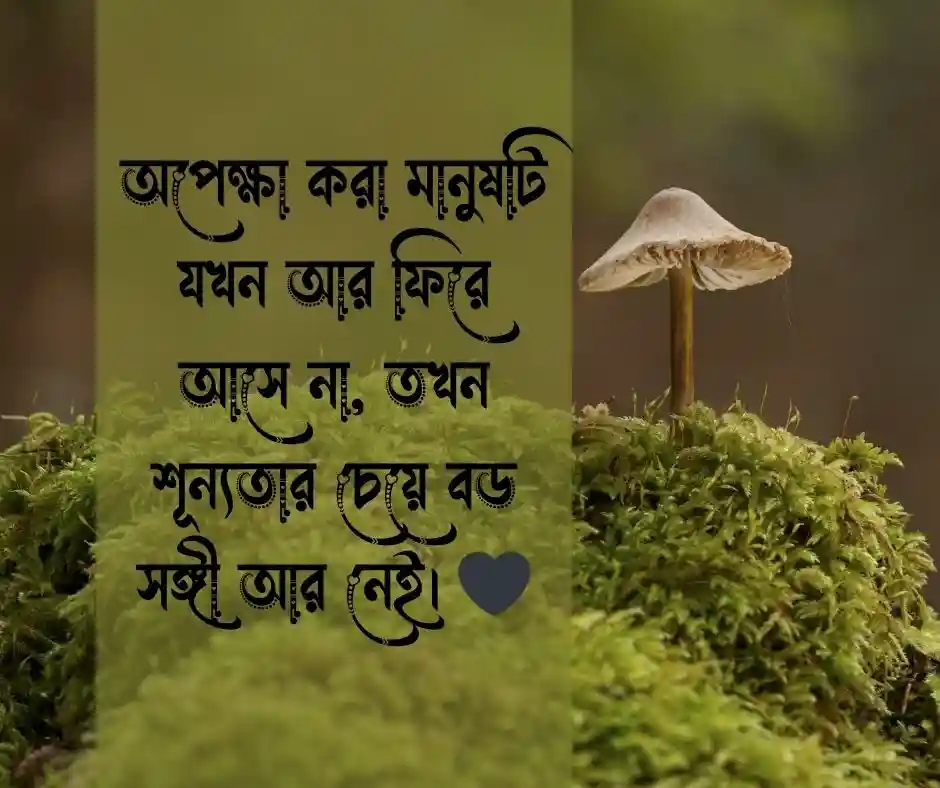 সিঙ্গেল ছেলেদের কষ্টের স্ট্যাটাস