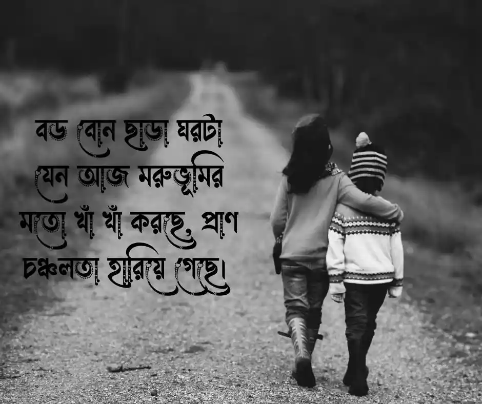 বড় বোনকে নিয়ে কষ্টের স্ট্যাটাস