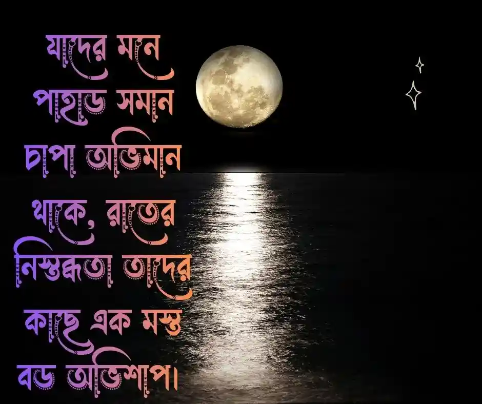 নির্ঘুম রাত নিয়ে উক্তি