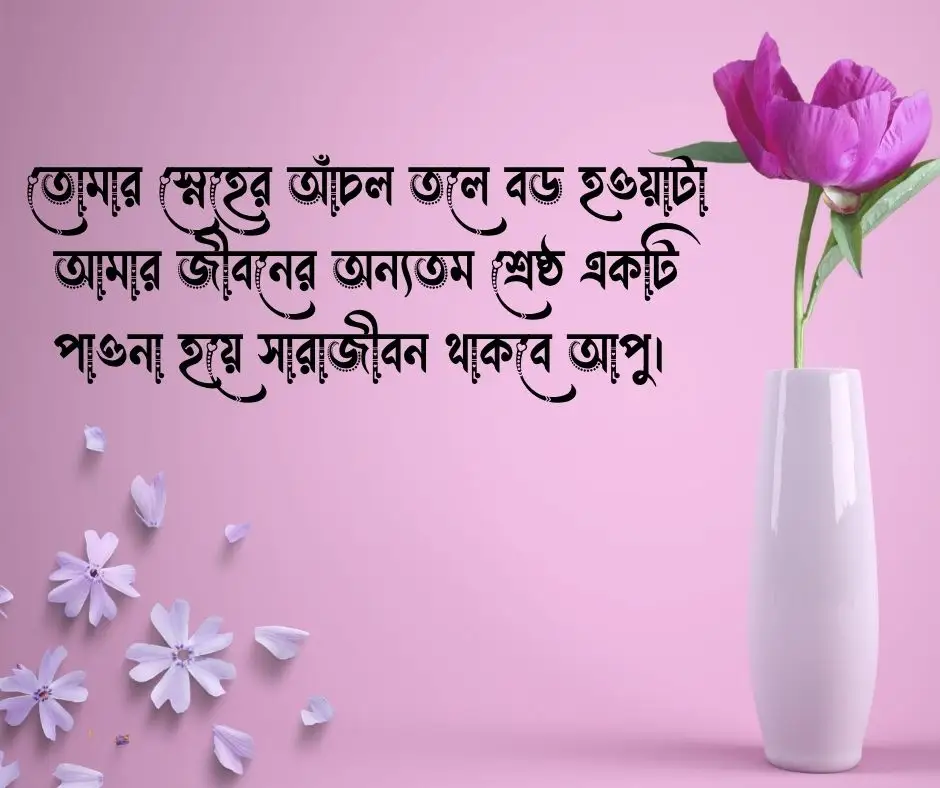  বড় বোন নিয়ে স্ট্যাটাস বড় বোন নিয়ে ক্যাপশন