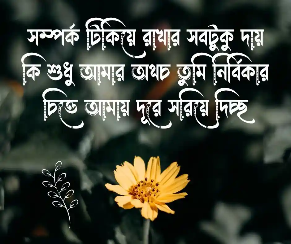 স্ত্রীকে পাঠানোর জন্য কষ্টের মেসেজ